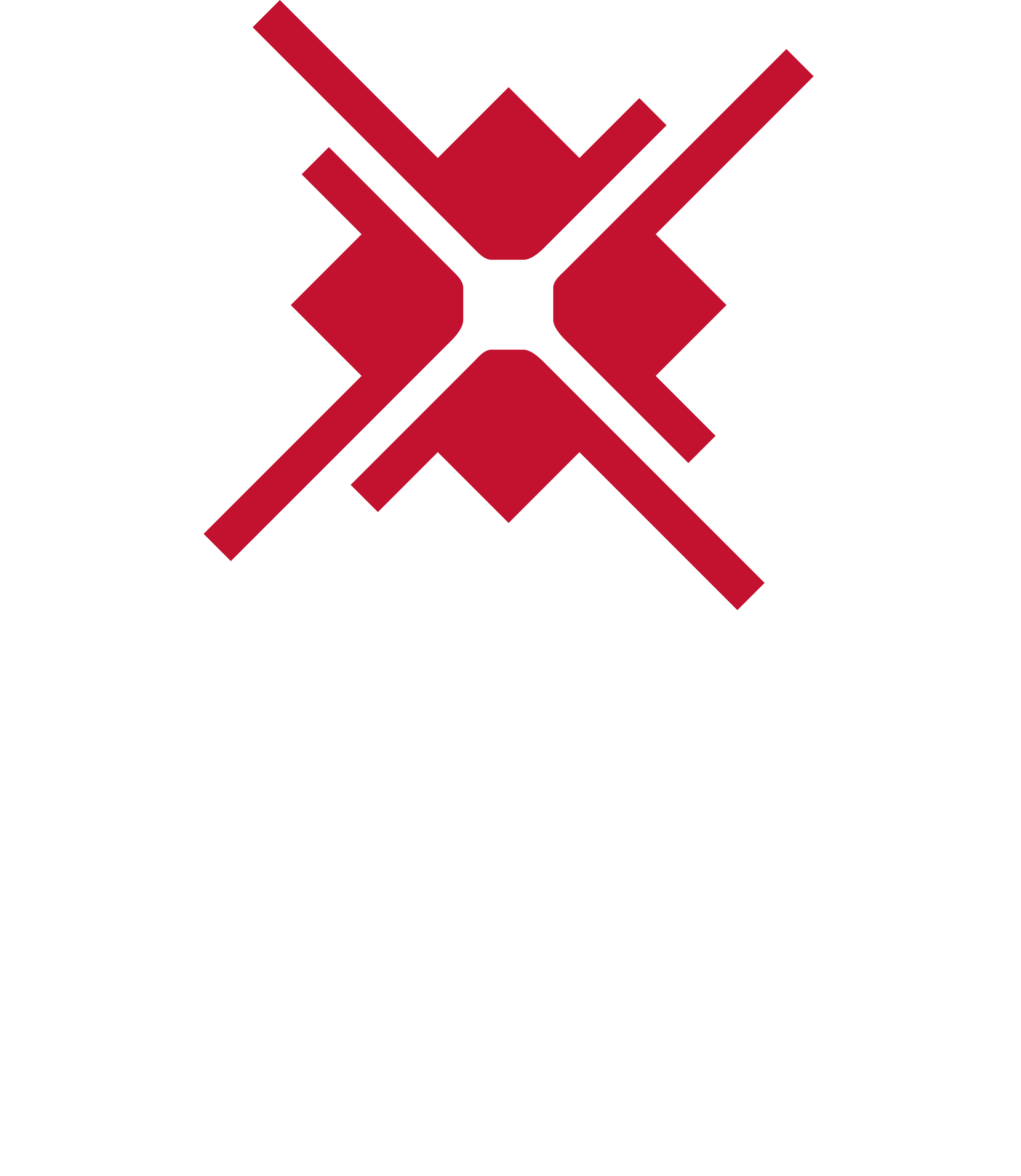 Peruvian Odyssey